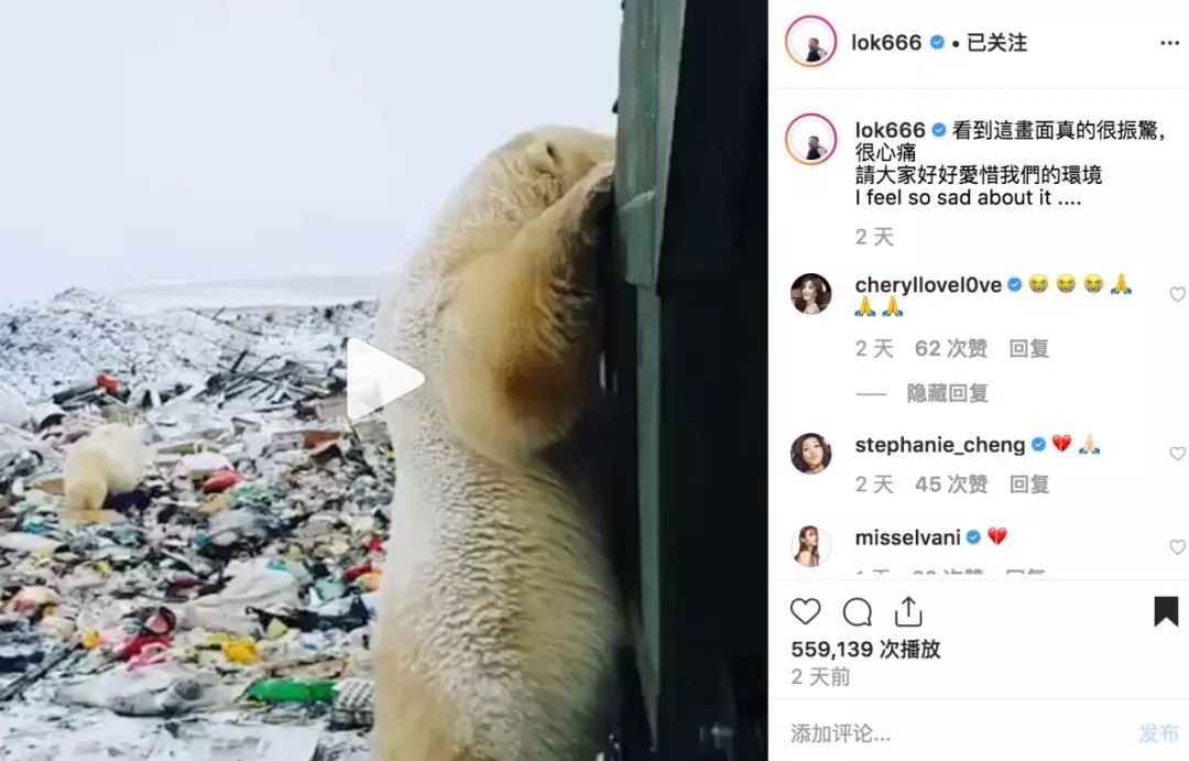 熊貓體育